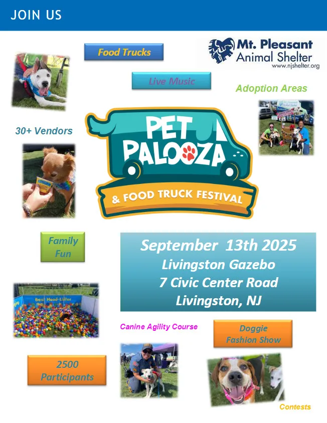 Pet Palooza